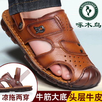 Woodpecker male sandals Leather Bull Leather Summer Baotou Beach Cool Slippers Bull Fascia and Wear Dad Shoe Tide