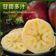 New harvest of 2026! Zhaotong ugly apples