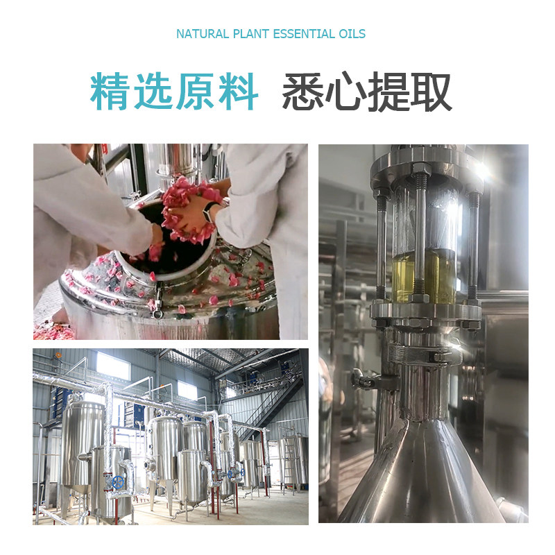 艾叶精油蓝艾10/100/500/1000ml艾草油植物单方精油按摩护肤香薰,淘宝优惠券,粉丝福利购,淘宝优惠卷