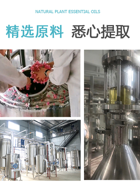 崖柏精油 10/100/500/1000ml香薰按摩精油天然植物油