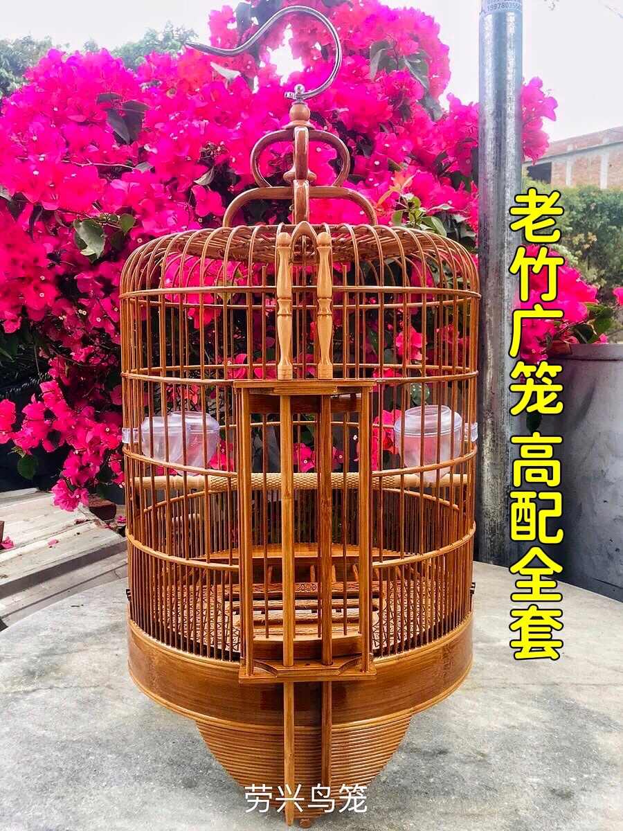 花眉鸟笼 新人首单立减十元 22年5月 淘宝海外