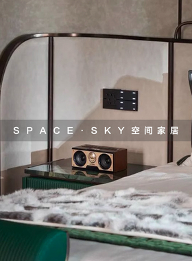 现代轻奢样板间客厅装饰柜层架音乐主题软装饰品摆件书柜仿真唱片