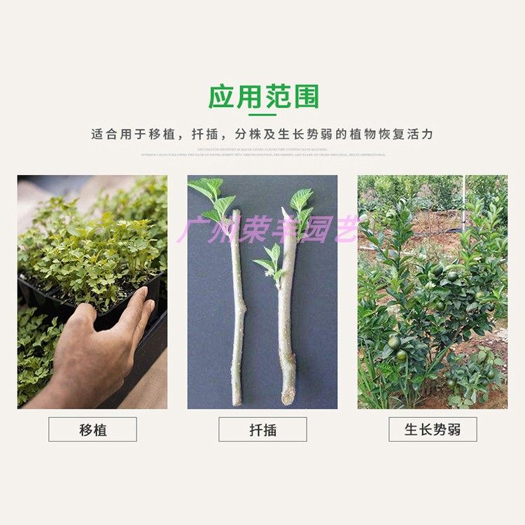 台湾翠筠B-1活力素 鱼油肥增加活力促进生根蔬菜瓜果花卉通用肥料,淘宝优惠券,粉丝福利购,淘宝优惠卷
