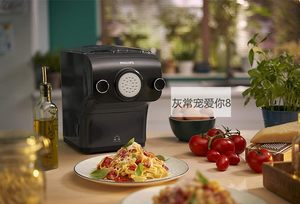 德国代购Philips自动面条机意大利宽细面条机通心粉HR2382/15