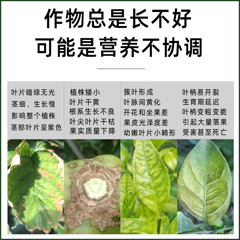 槟榔专用膨果肥防治鸡心果促花保果亮果磷钙钾锌硼大量元素叶面肥 - 图0