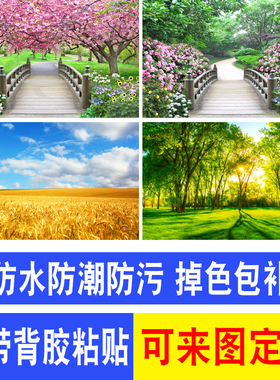 自然风景卧室客厅风景画可防水