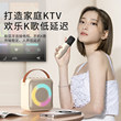 Hot selling wireless karaoke speakers