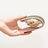 Deodorant, one size fits all (can be worn in sizes 37-39), silent