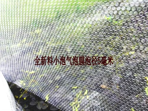 全新料小泡气泡膜 气泡袋 气泡垫 泡泡袋宽30厘米江浙沪2卷包邮 - 图1