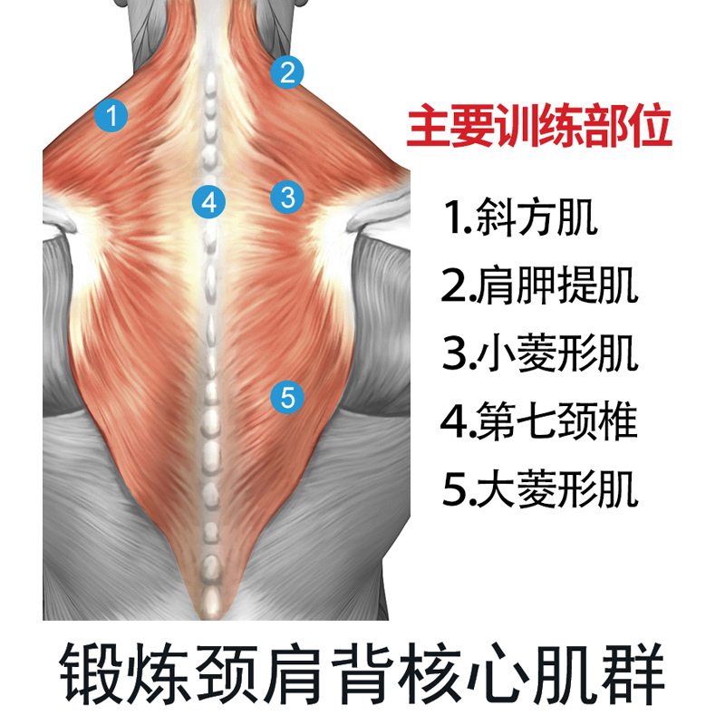 脖子头颈部肌肉训练器材锻炼颈椎力量负重练颈帽抗阻拳击练脖头套 - 图2