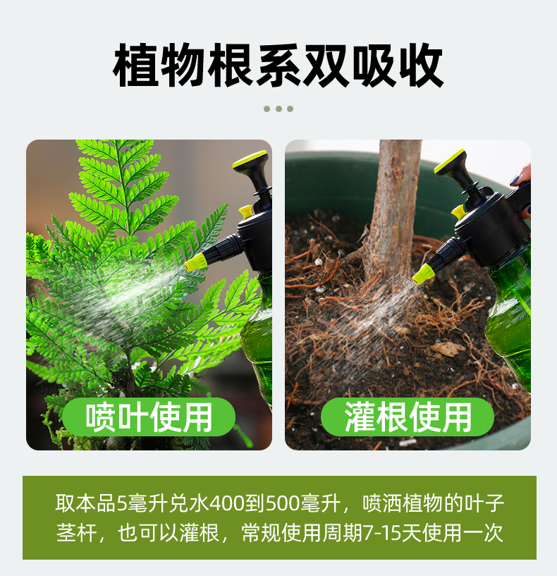 蕨类植物营养液狼尾蕨肥料铁线蕨什么霸王蕨土鹿角蕨养护蕨类专用 - 图2