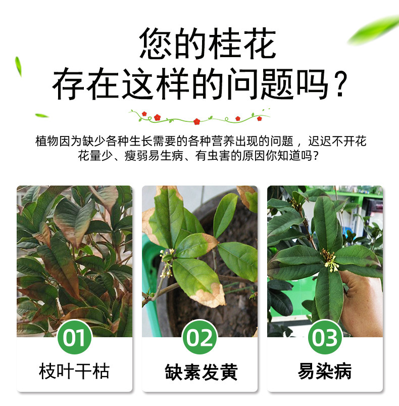 桂花树肥料专用肥桂花专用肥营养液盆栽养护黄叶养护生根养花家用,淘宝优惠券,粉丝福利购,淘宝优惠卷