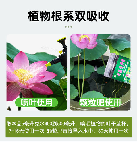荷花专用肥碗莲营养液睡莲荷花肥料莲花水培水溶莲藕土缸盆栽荷塘 - 图3