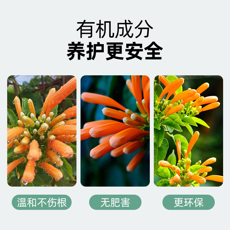 炮仗花肥料专用肥爆竹花营养液庭院盆栽爬藤植物爆炸花吉祥草花肥,淘宝优惠券,粉丝福利购,淘宝优惠卷