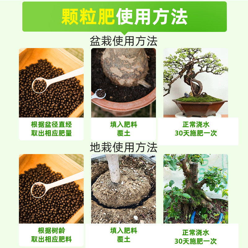 雀梅肥料雀梅藤树苗专用肥料酸色子雀梅老桩盆景专治叶子发黄掉叶,淘宝优惠券,粉丝福利购,淘宝优惠卷