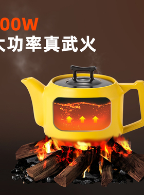 砂锅全自动煲汤两用养生中药壶