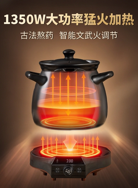 1350W大功率大容量中药电煎药壶