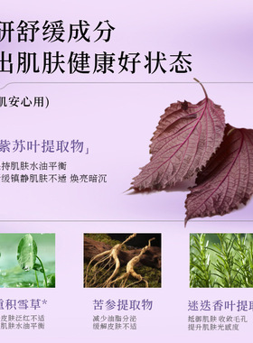 【官方正品】紫苏氨基酸洗面泡泡