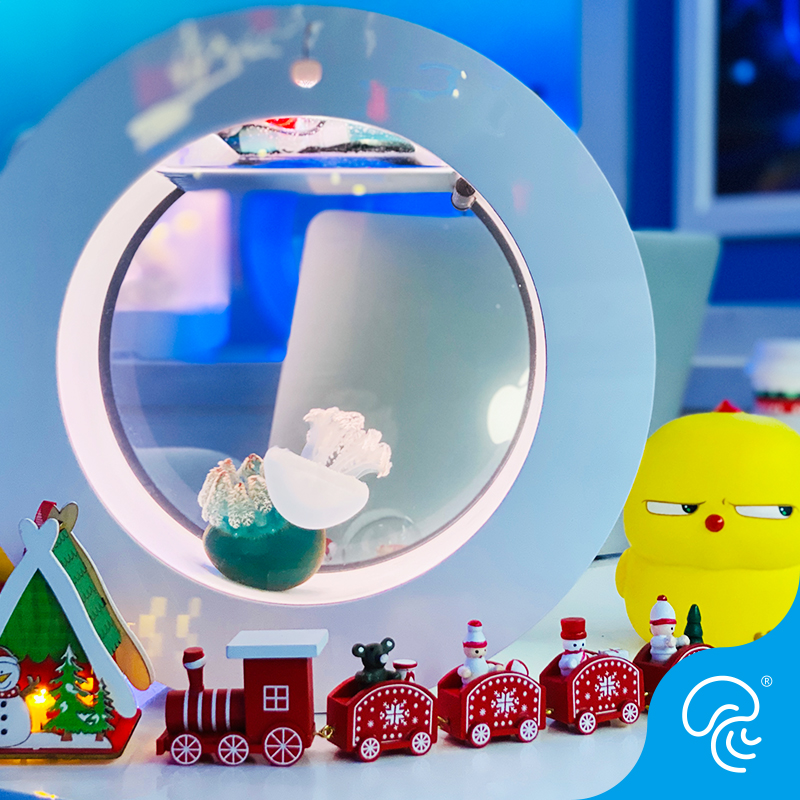 专业水母缸鱼缸水族箱活体家庭观海月赤月彩色樱桃水母缸鱼缸O型 - 图0