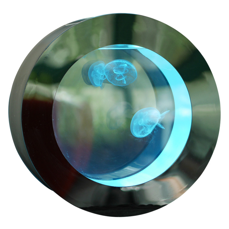专业水母缸鱼缸水族箱活体家庭观海月赤月彩色樱桃水母缸鱼缸O型 - 图3
