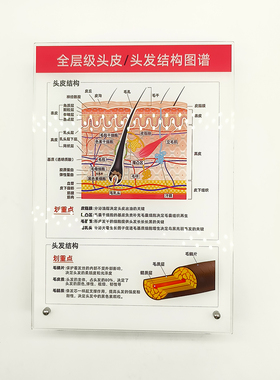 高颜值亚克力门店拓客装饰品