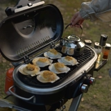 LTHW путешествует на улице с двойным пламенным газом на гриле на гриле печи для лагеря для барбекю Двортард Стинг Складывание бездымной на гриле стойки