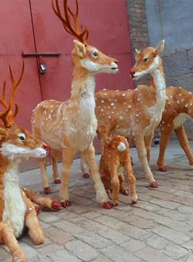 仿真梅花鹿模型皮毛动物摆件展示玩具标本橱窗装饰品梅花鹿标本