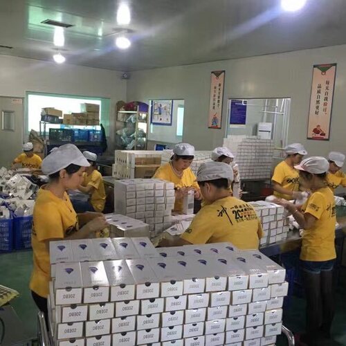 兆宝洗发水正品ZOEBO营养洗护套装无硅油去屑柔顺控油改善毛糙 - 图3