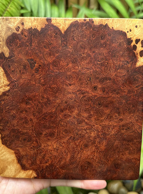 大果紫檀瘿木满瘤疤插屏底座杯垫