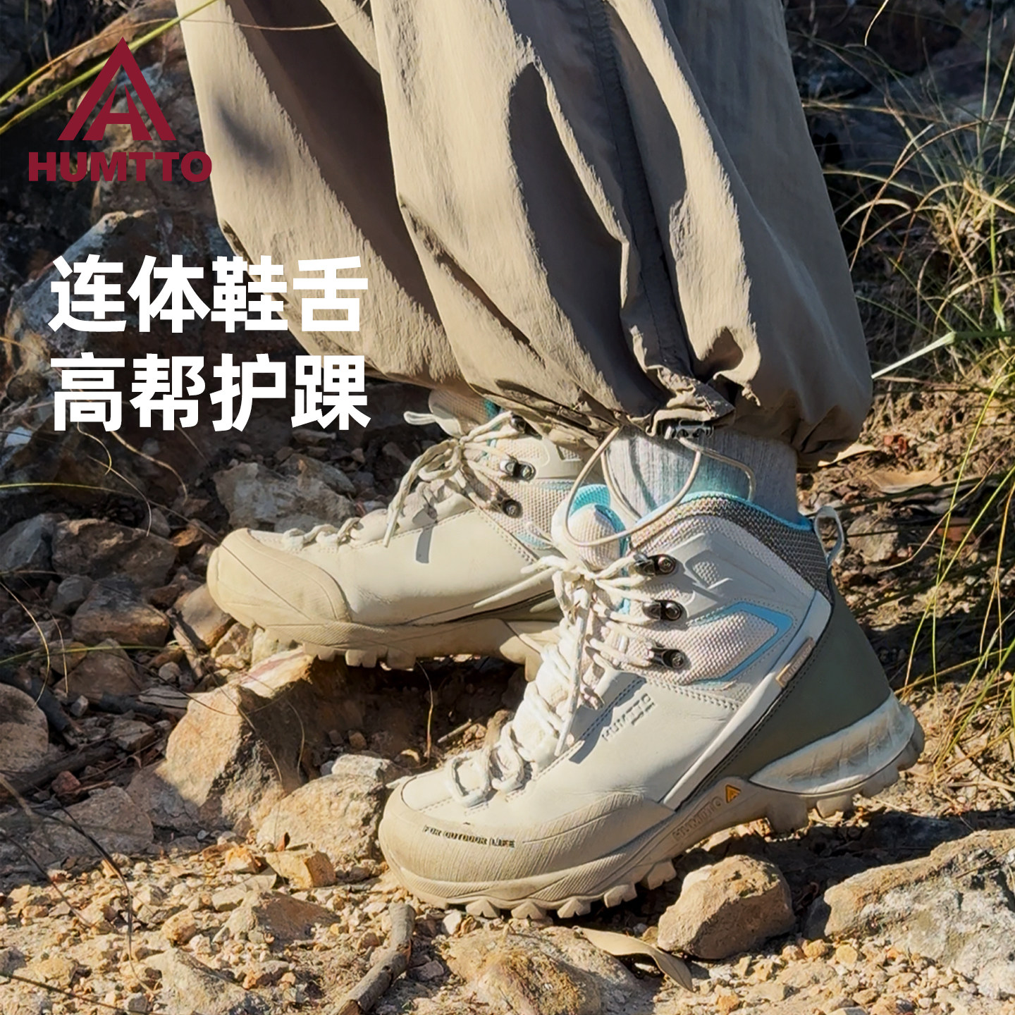 图 2