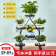 Iron mobile space-saving push-pull floor-standing flower stand with wheels