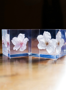 七夕女朋友永生花生日礼物日本