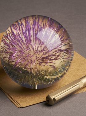 永生花朵送女生情人节礼物