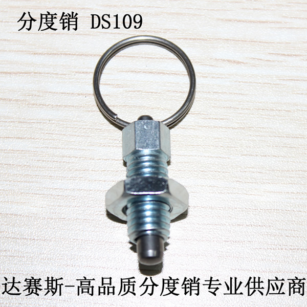 不锈钢分度销 DS109-M10-6-PN-SS  带拉环分度销 - 图0