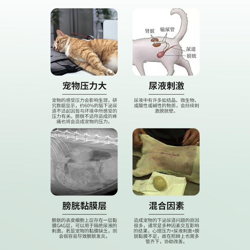 宠特宝猫咪狗狗利尿通宠物尿路感染排尿困难尿痛尿血尿频结石结晶 - 图2