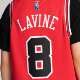 Nike Big Kids Jersey LaVine Bulls