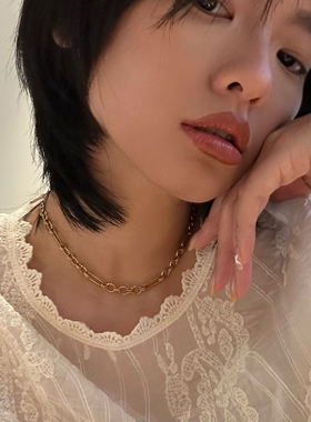 734钛钢项链欧美博主同款ins风钛钢金属圈圈锁骨链chocker通勤