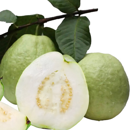 脆甜爽口番石榴白心芭乐果新鲜现摘广东当季水果硬脆巴乐5斤包邮 - 图1