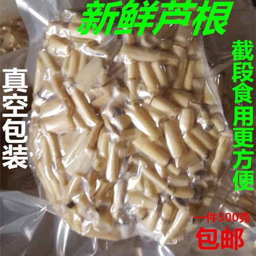 新鲜芦根 芦苇苗根 芦苇根 芦茅根苇根芦柴根另有白茅根凉茶 - 图2