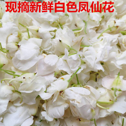 新鲜凤仙花指甲草花苗染指甲红白指甲花瓣种植指甲花种子美甲染发 - 图0