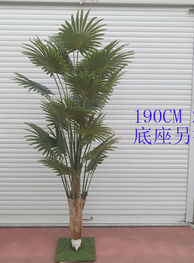 仿真绿植假树扇葵叶子盆栽造景
