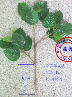 绿植物塑料绿色大型植物鸽子树枝
