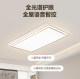 Foshan Lighting Nordic Light Luxury Ceiling Lamp Smart