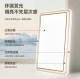 Foshan Lighting Nordic Light Luxury Ceiling Lamp Smart