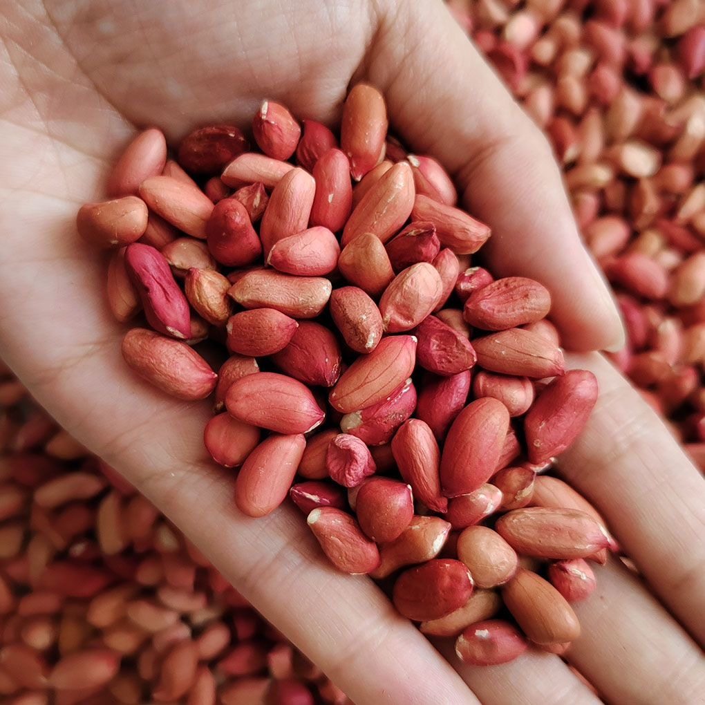 东北新货小四粒红花生米红皮花生无壳生红花生仁商用整袋批发鸽粮,淘宝优惠券,粉丝福利购,淘宝优惠卷