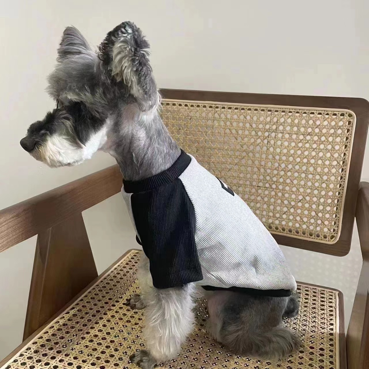 马尔济斯狗狗衣服宠物猫咪衣服秋冬款休闲潮牌泰迪比熊博美防掉毛 - 图0