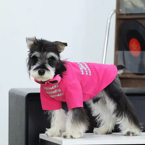 小型犬新款狗狗衣服春夏季薄款宠物小型犬雪纳瑞泰迪圆领T恤春秋 - 图3