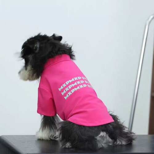 小型犬新款狗狗衣服春夏季薄款宠物小型犬雪纳瑞泰迪圆领T恤春秋 - 图1