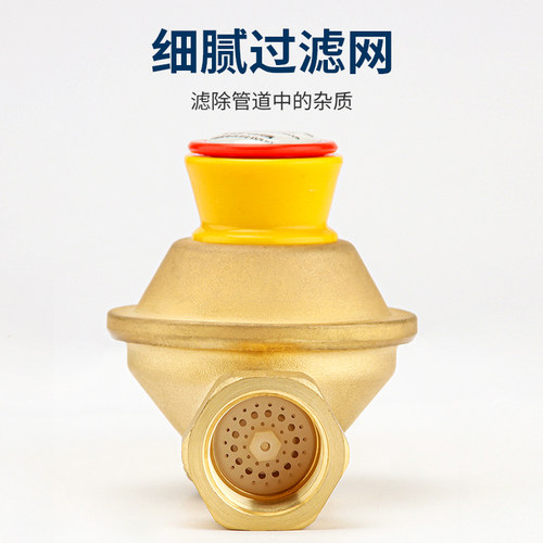 家用天然气燃气管道自闭阀漏气自动断气保护泄露防漏超压安全阀门 - 图2