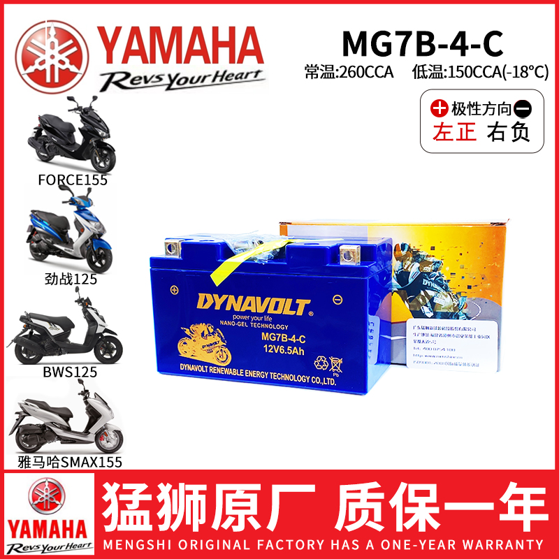 雅马哈山叶鸭子BWS125 RAY125 YP250 TTR250 RV Majesty电瓶电池 - 图0